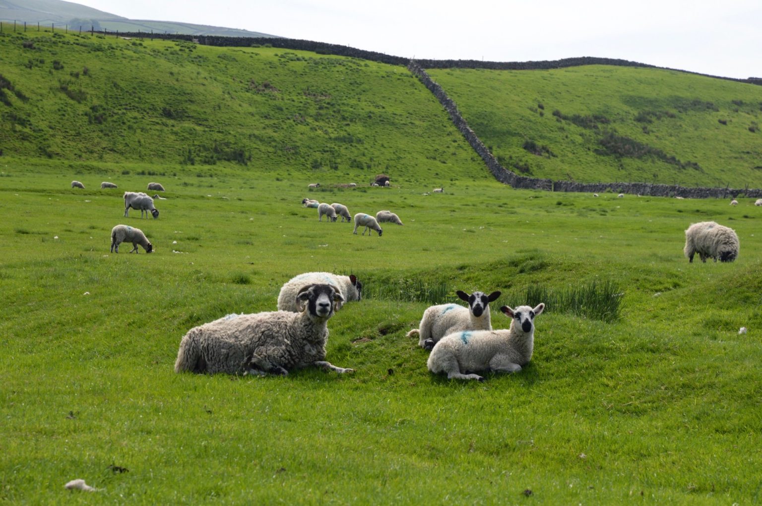 two-great-bases-for-a-yorkshire-dales-holiday-hawes-and-masham