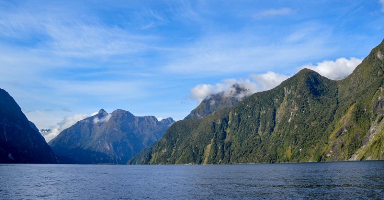 Milford Sound Vs Doubtful Sound Choosing The Best New Zealand Fjord