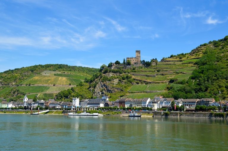 rhine river cruise mainz