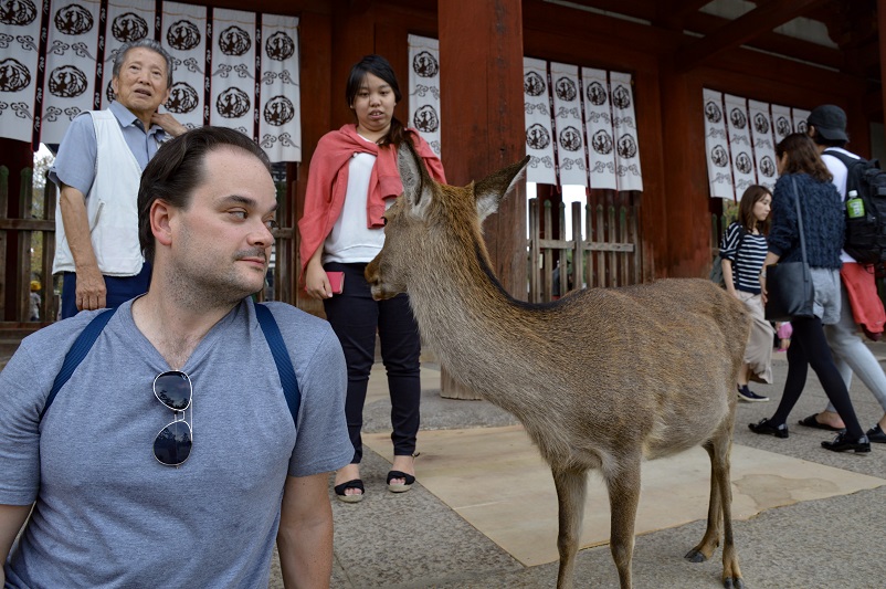 Nara day trip: it's all about the deer | Travel Breathe Repeat