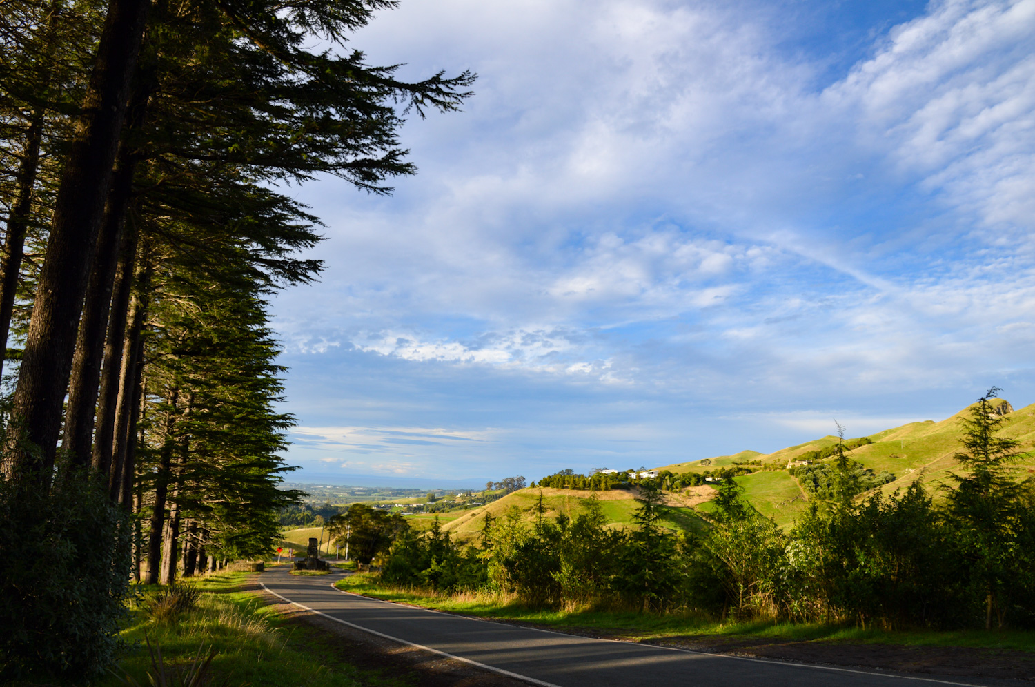 Road lined with trees under a blue cloudy sky in New Zealand